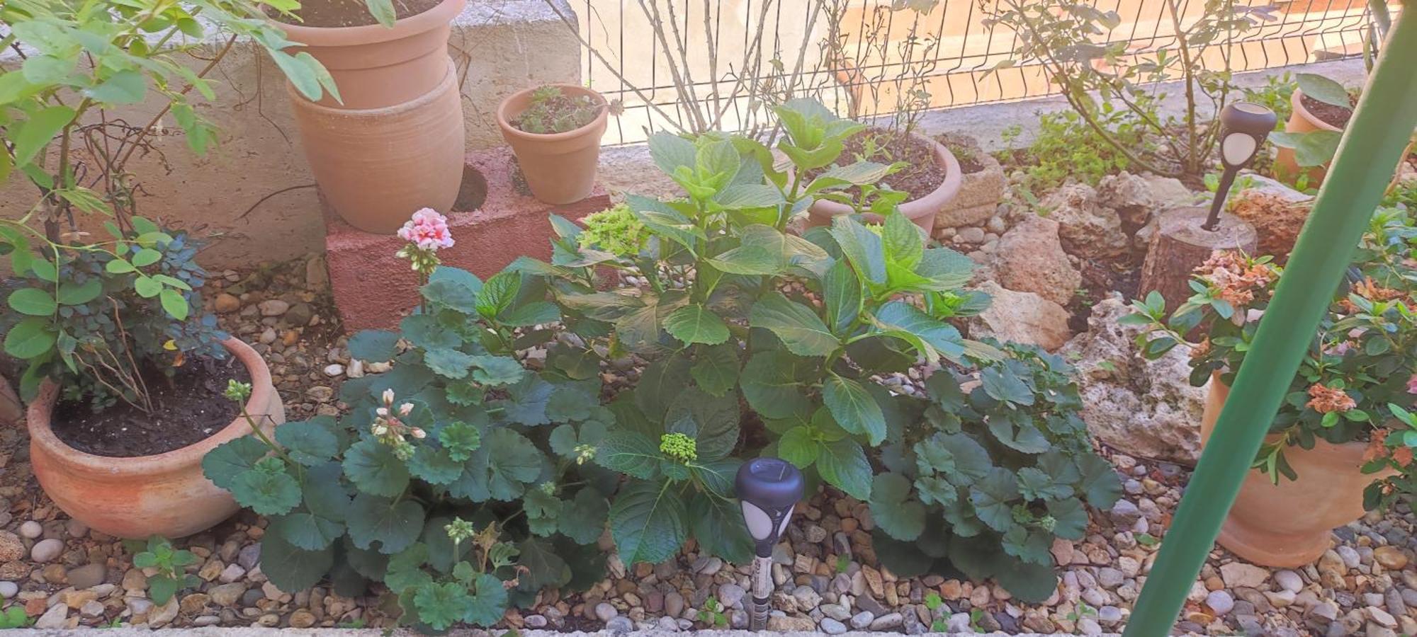 Apartman Campo Šibenik Exterior foto